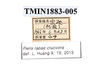 白粉蝶藏品圖，第4張